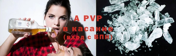 спайс Гусев