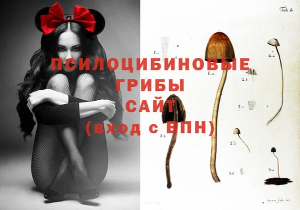 спайс Гусев