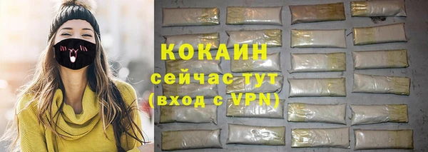 спайс Гусев