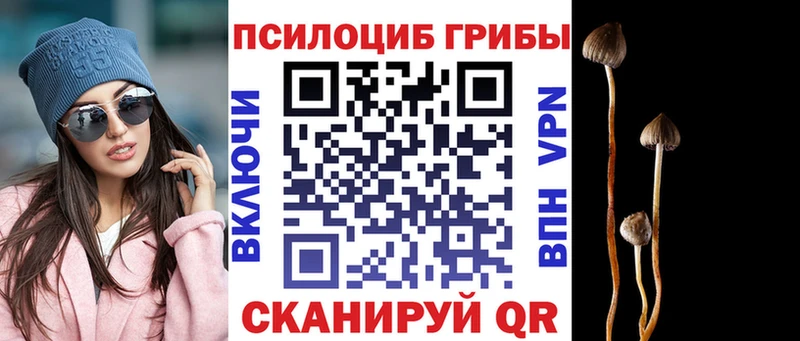 Купить закладки  Снежногорск  Галлюциногенные грибы прущие грибы 